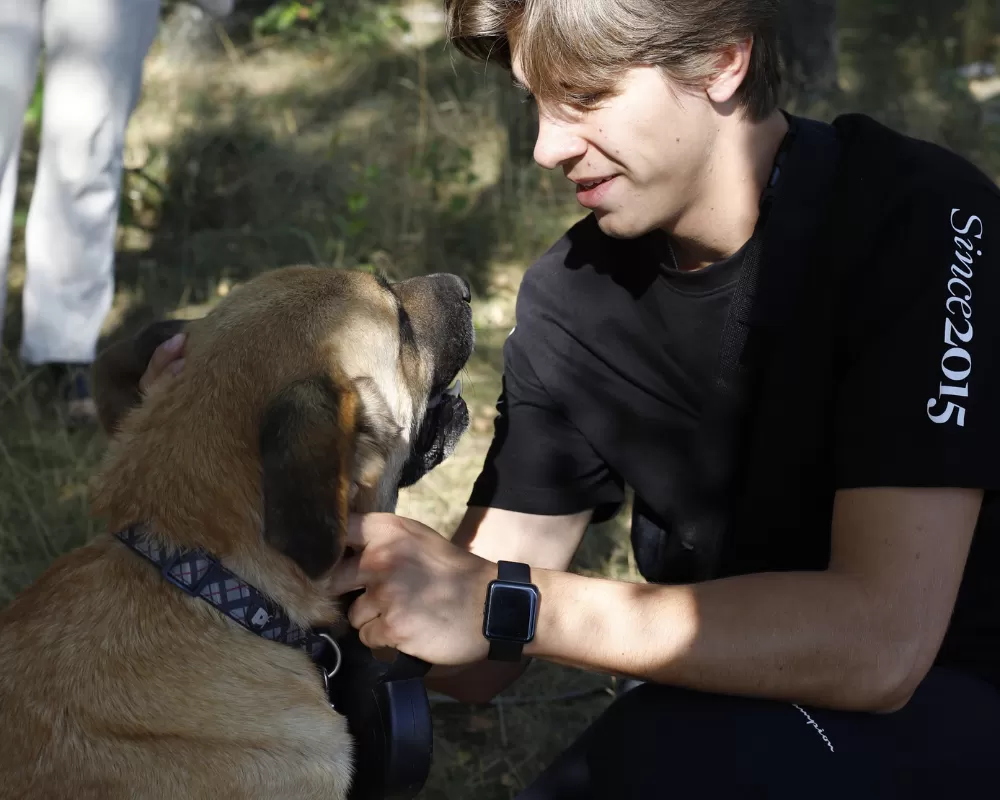 Feel The Beat- XXXVI edycja